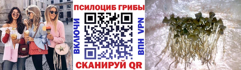 даркнет сайт  Тавда  Псилоцибиновые грибы MAGIC MUSHROOMS 