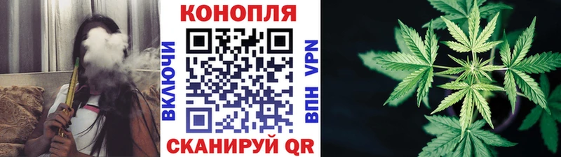 Каннабис ГИДРОПОН  Тавда 